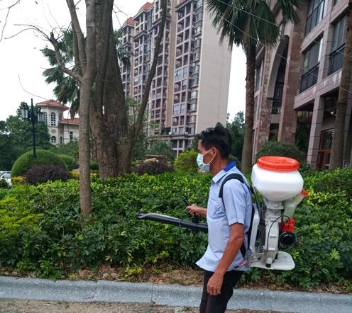 小区白蚁灭治与预防工作