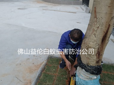 西南雅豪居花园安装白蚁诱杀箱