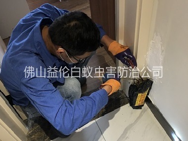 芦苞住宅白蚁防治工程