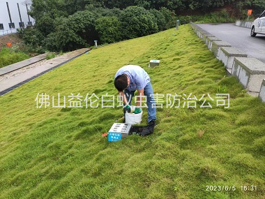 三水水利堤坝鼠害防控工程