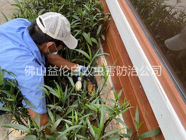 丹灶园林绿化灭治白蚁工程