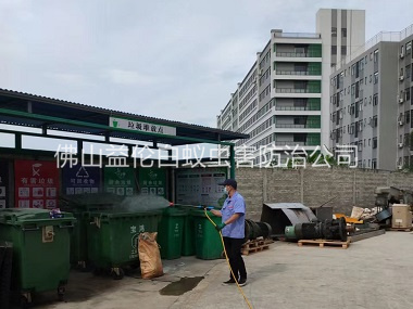 大塘镇蚊蝇孳生地消杀工程