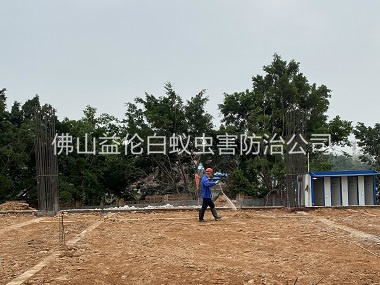 罗村新建地基预防白蚁工程