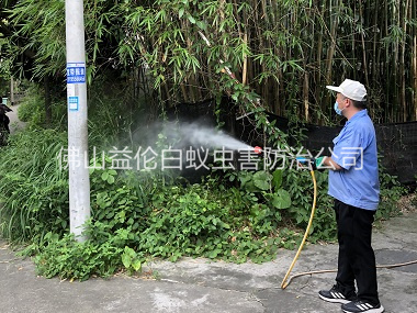南海有害生物消杀工程