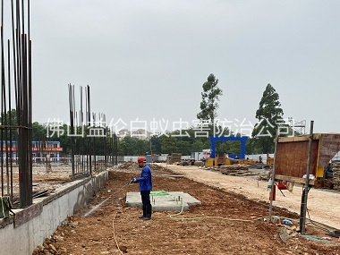 西南地基防白蚁工程