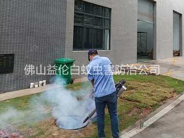 和顺厂区杀蟑螂蚊蝇工程