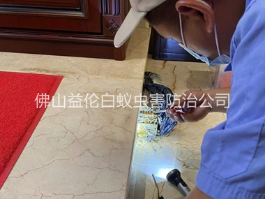 芦苞装置诱杀箱监测白蚁工程